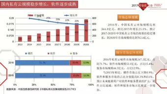 2017年中國公共云發展調查報告與可信云觀察 基礎軟件服務分析